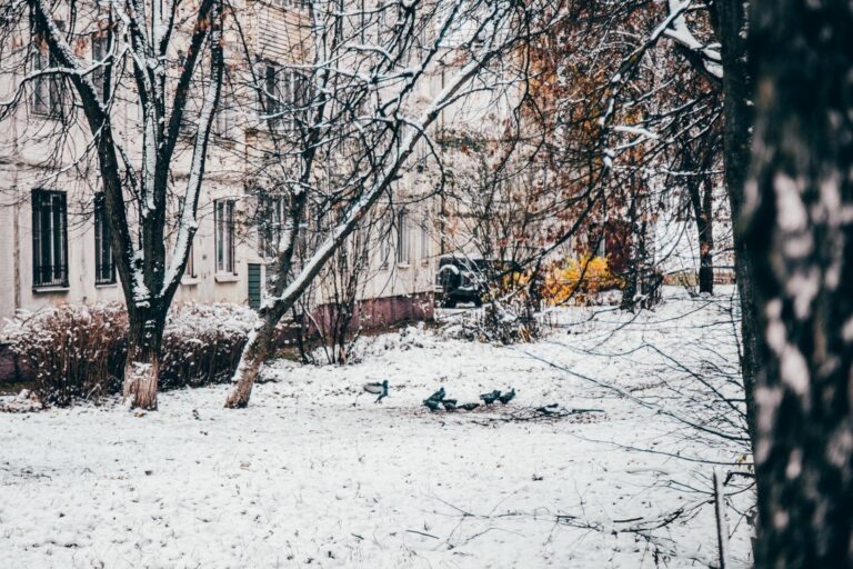    Фото: Общественная Служба Новостей Илья Федоров