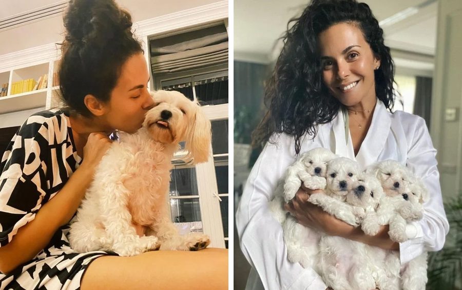    Фото: соцсети