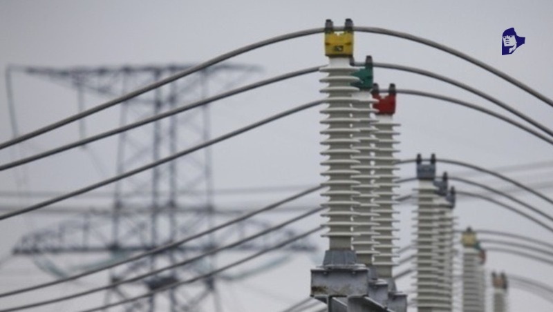      Фото: ИА «Победа26»