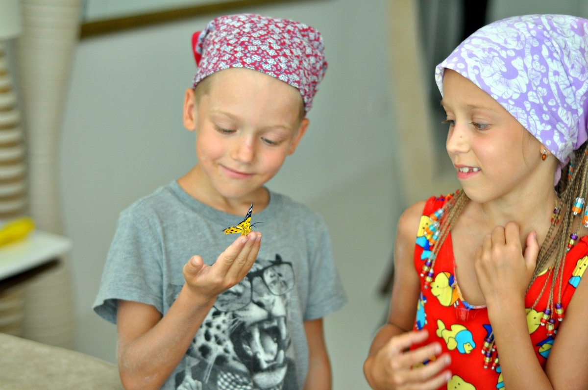 Тропическая бабочка со сломаным крылом.