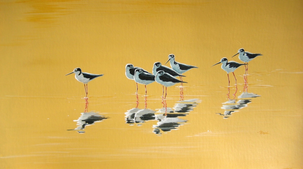 Ходулочники ( а вот какие - не знаю)