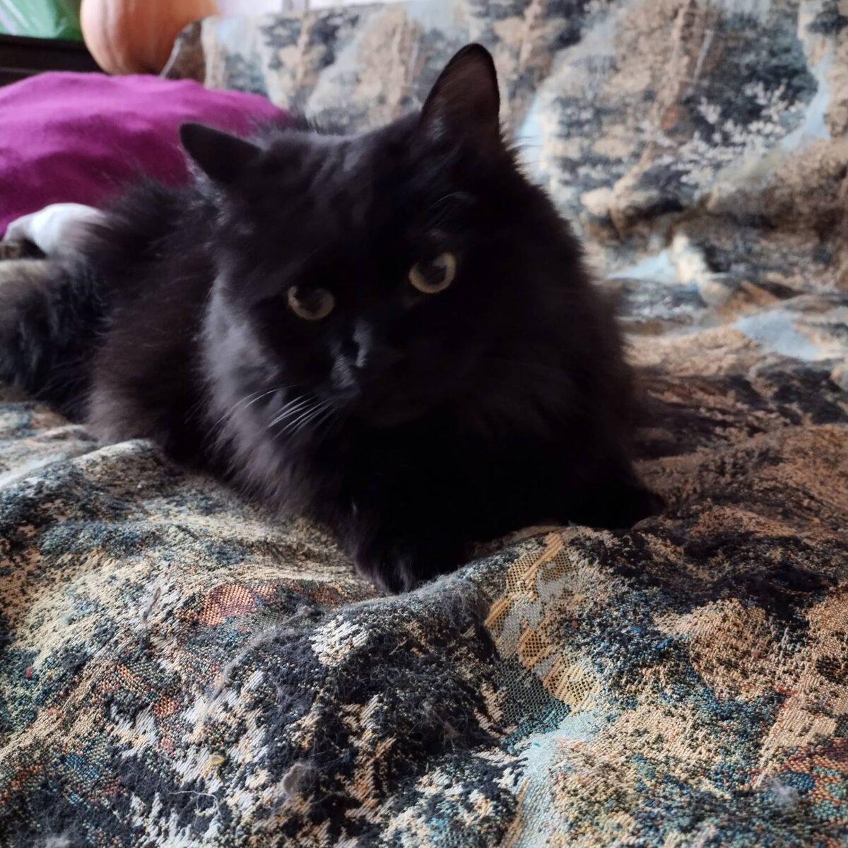 Я - Счастье!