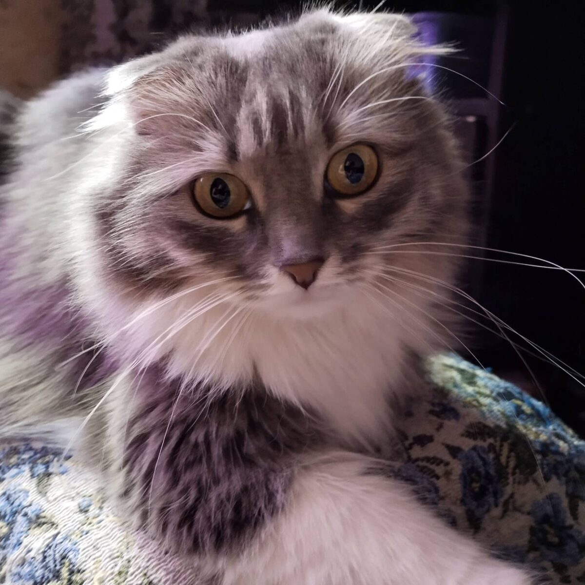 И я - Счастье!