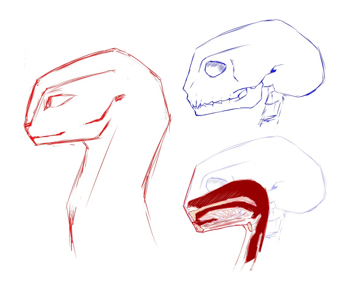 Органы речи и череп семиолоида