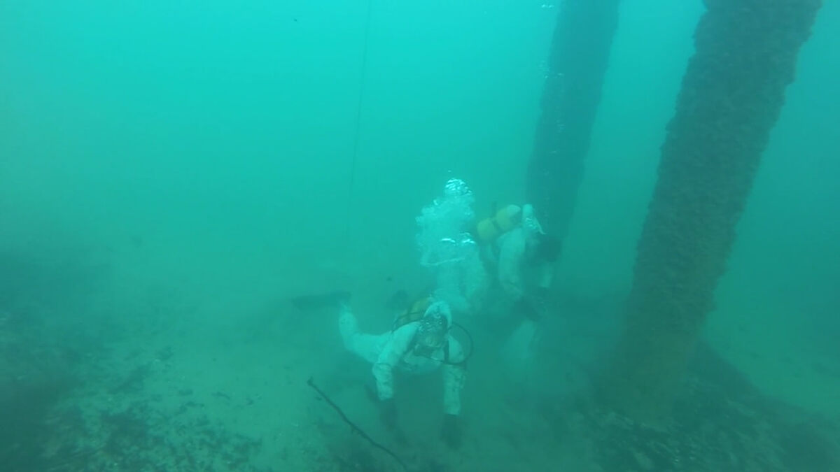    Фото: скрин видео краевого Оперштаба