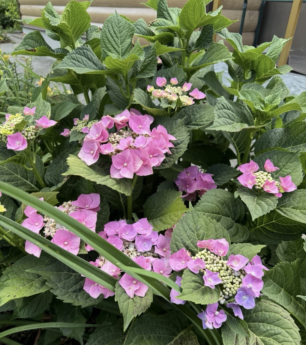 ФОТОГРАФИЯ ЧИТАТЕЛЬНИЦЫ