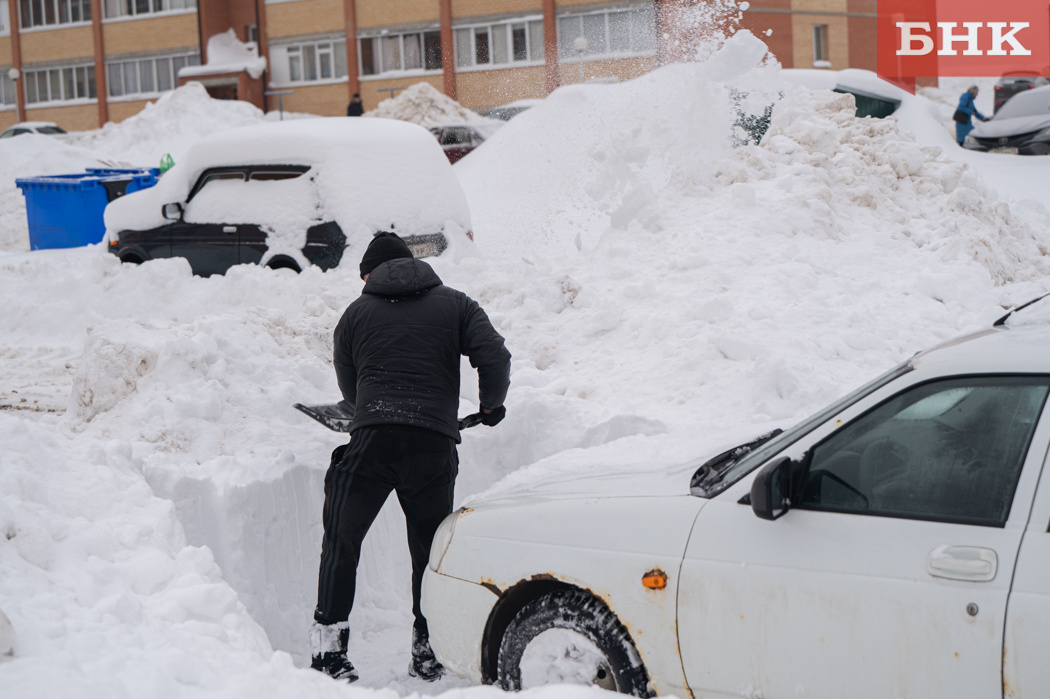 Фото Константина Стратиенко
