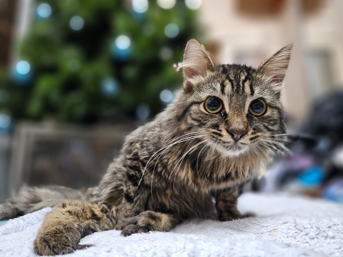 Фото автора. Наш спинальник Толяша.