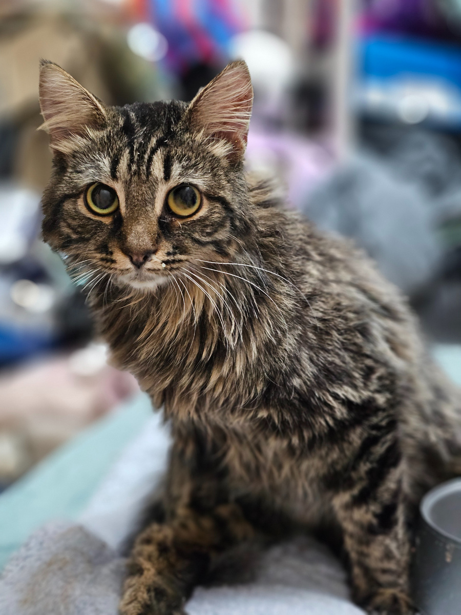 Фото автора. Толяша наш спинальник.