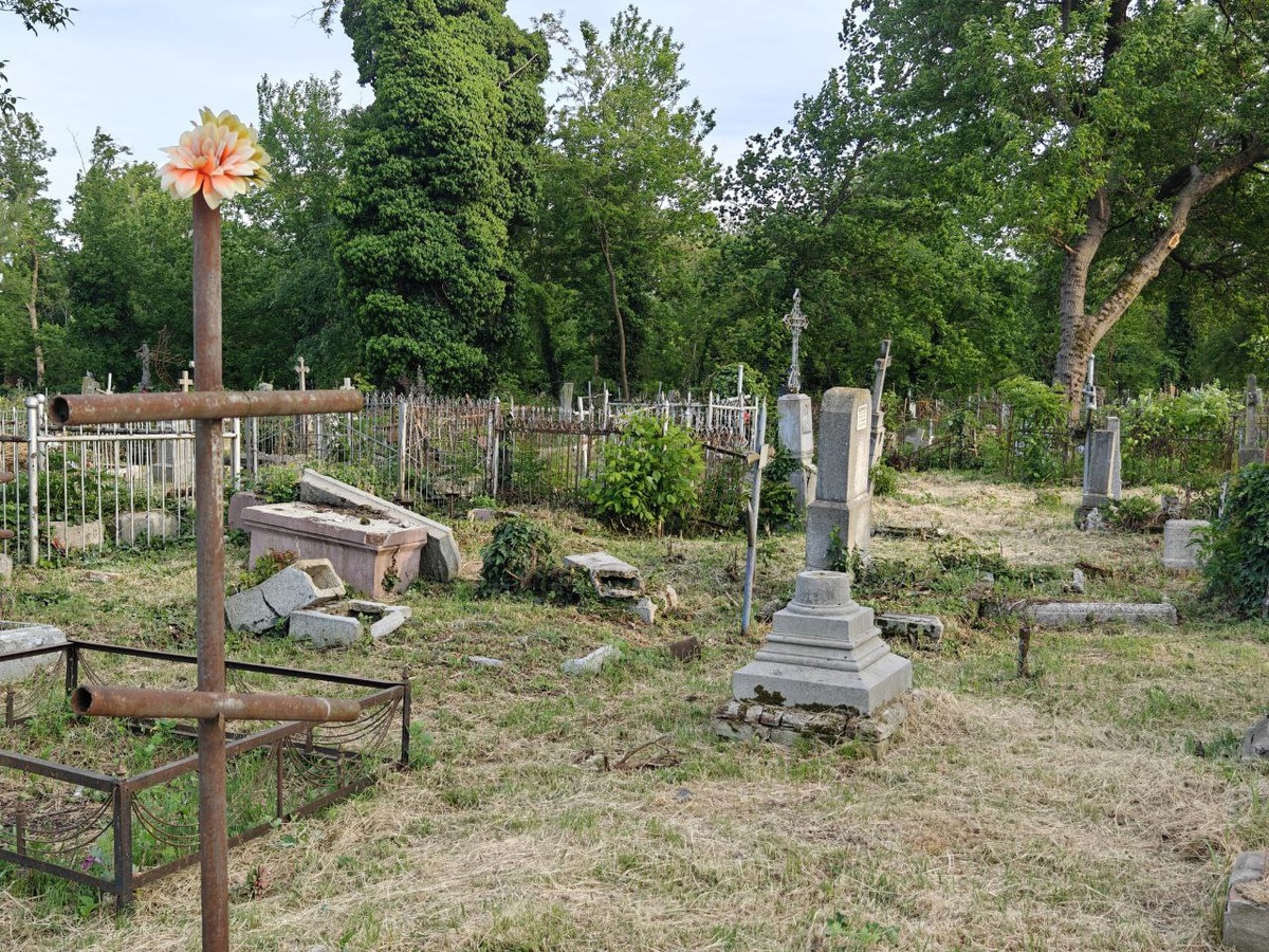    Фото: Юрий Серебренников/BFM Кубань