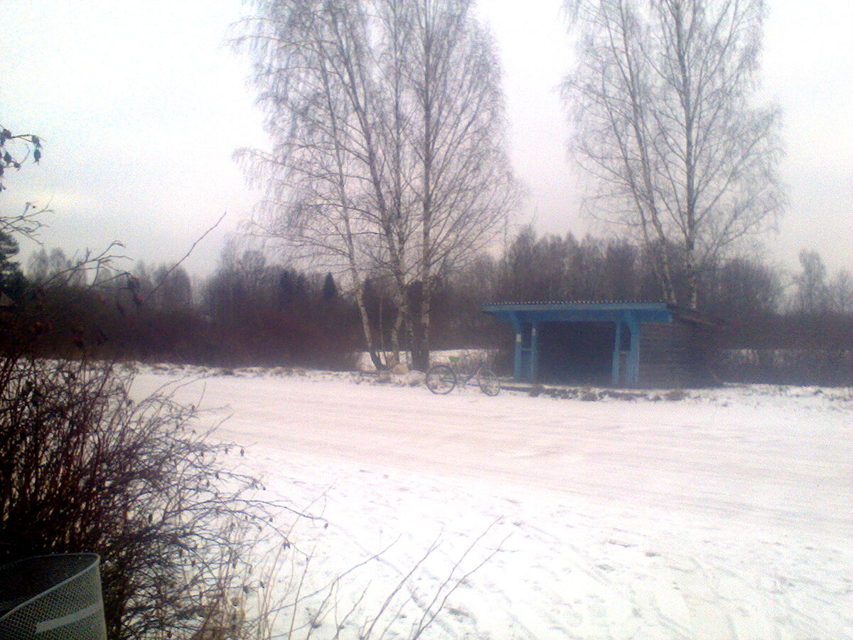 Слева от остановки, под берёзами, отдыхает ездовой козёл