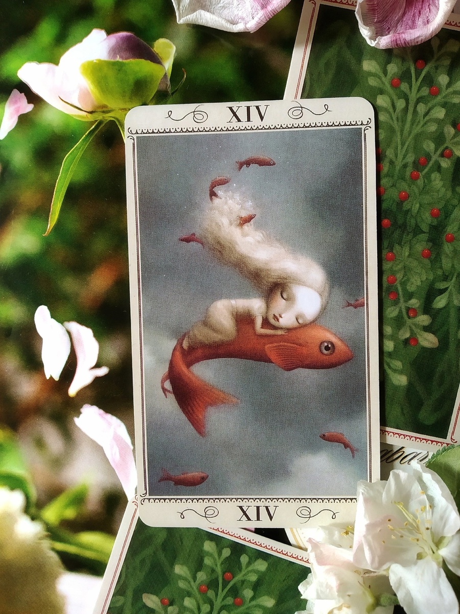 Умеренность - Николетта Чекколи