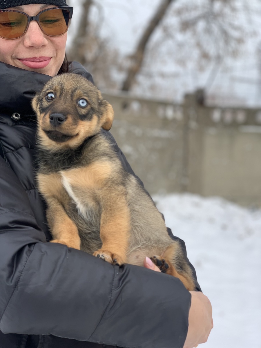 Новые жители ПП