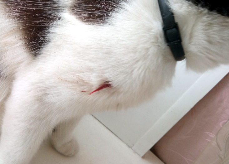 фото делал внук, у меня не получалось подойти достаточно близко