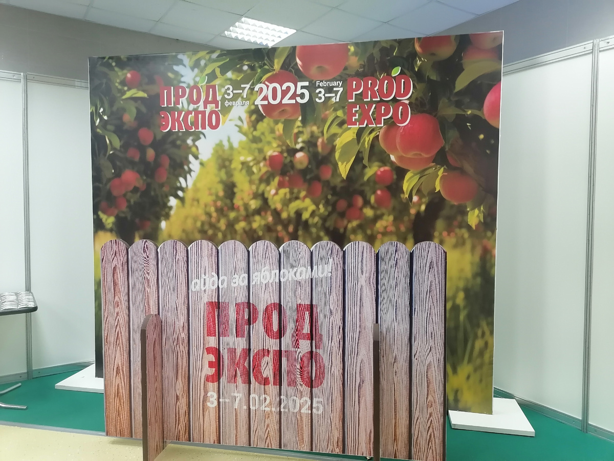 Впечатления, отзывы о выставке. Фото автора