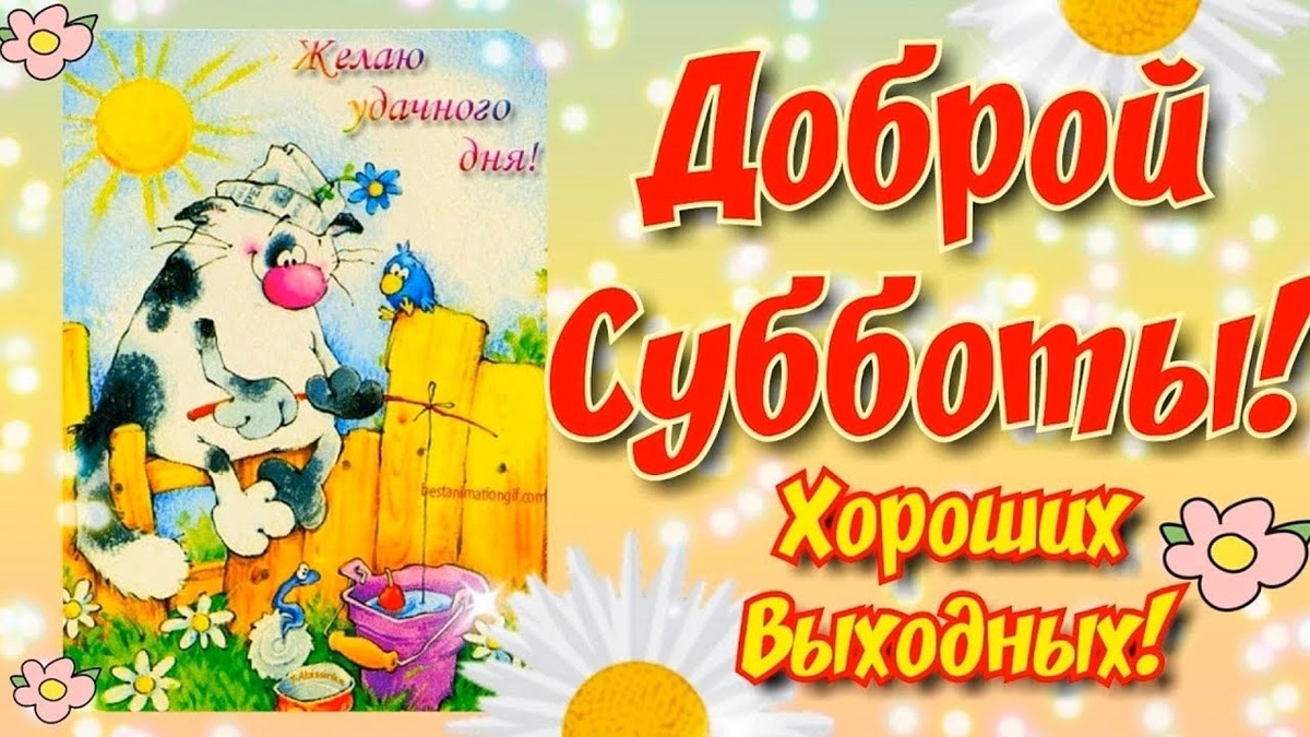 Фото из свободного доступа интернета 