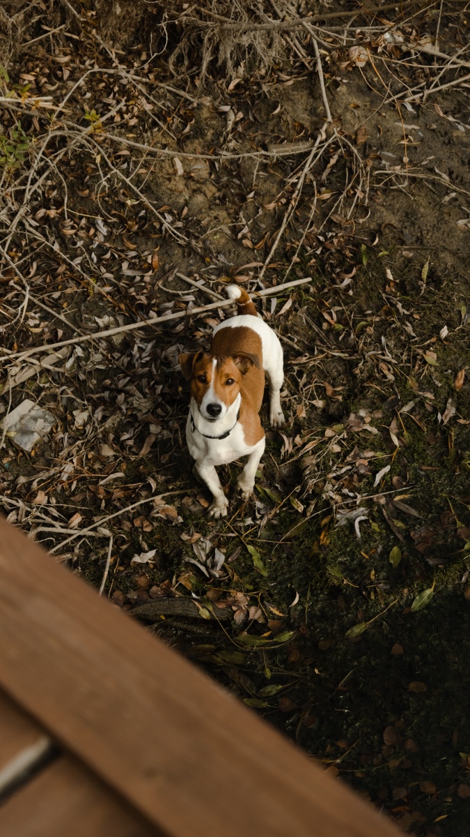 Природа - любимое место для прогулок. Городская черта - 👎 🦨 фу
