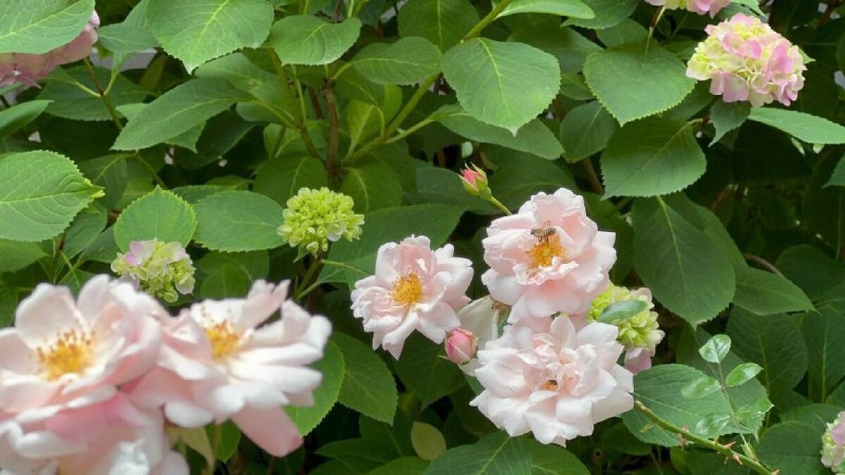    фото: телеканал «Краснодар»