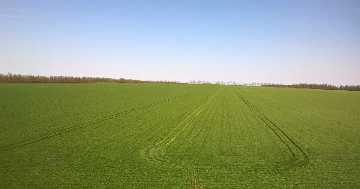 фото в качестве лирического мотива..