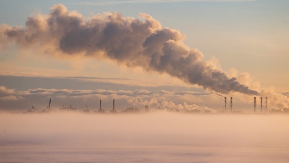    Вид на Финский залив с намыва Васильевского острова в Петербурге Автор фото: Сергей Ермохин / "Деловой Петербург"