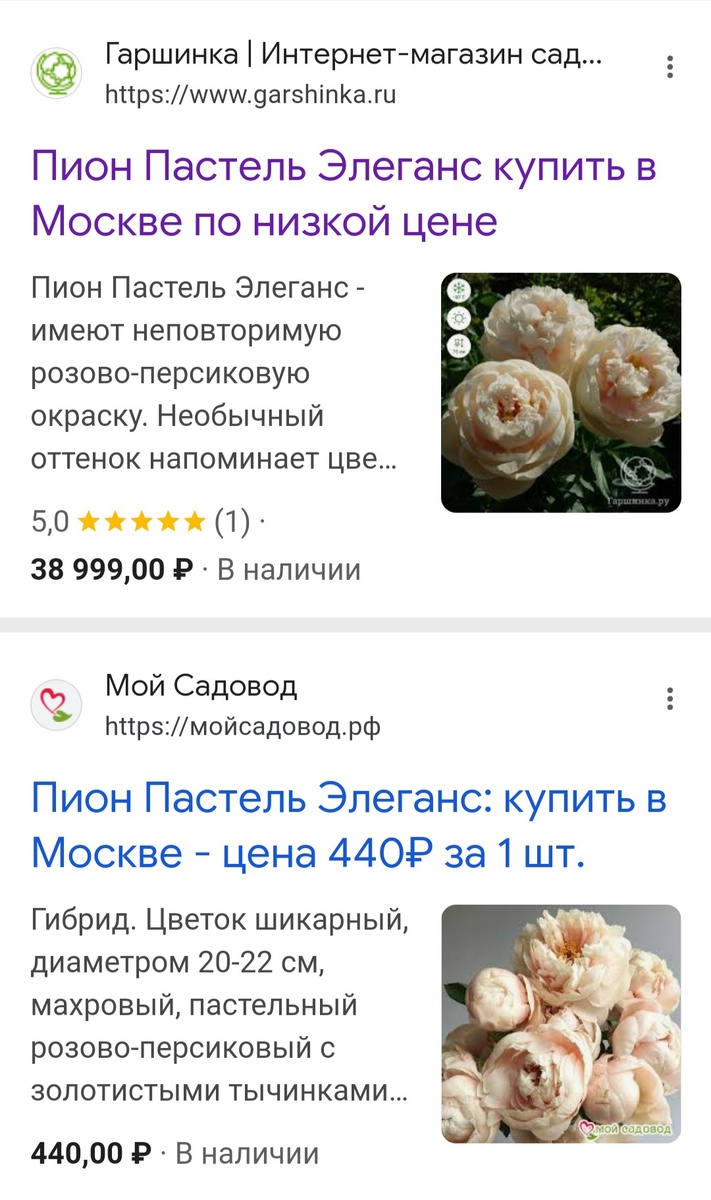 Такая разная цена на один и тот же сорт! 