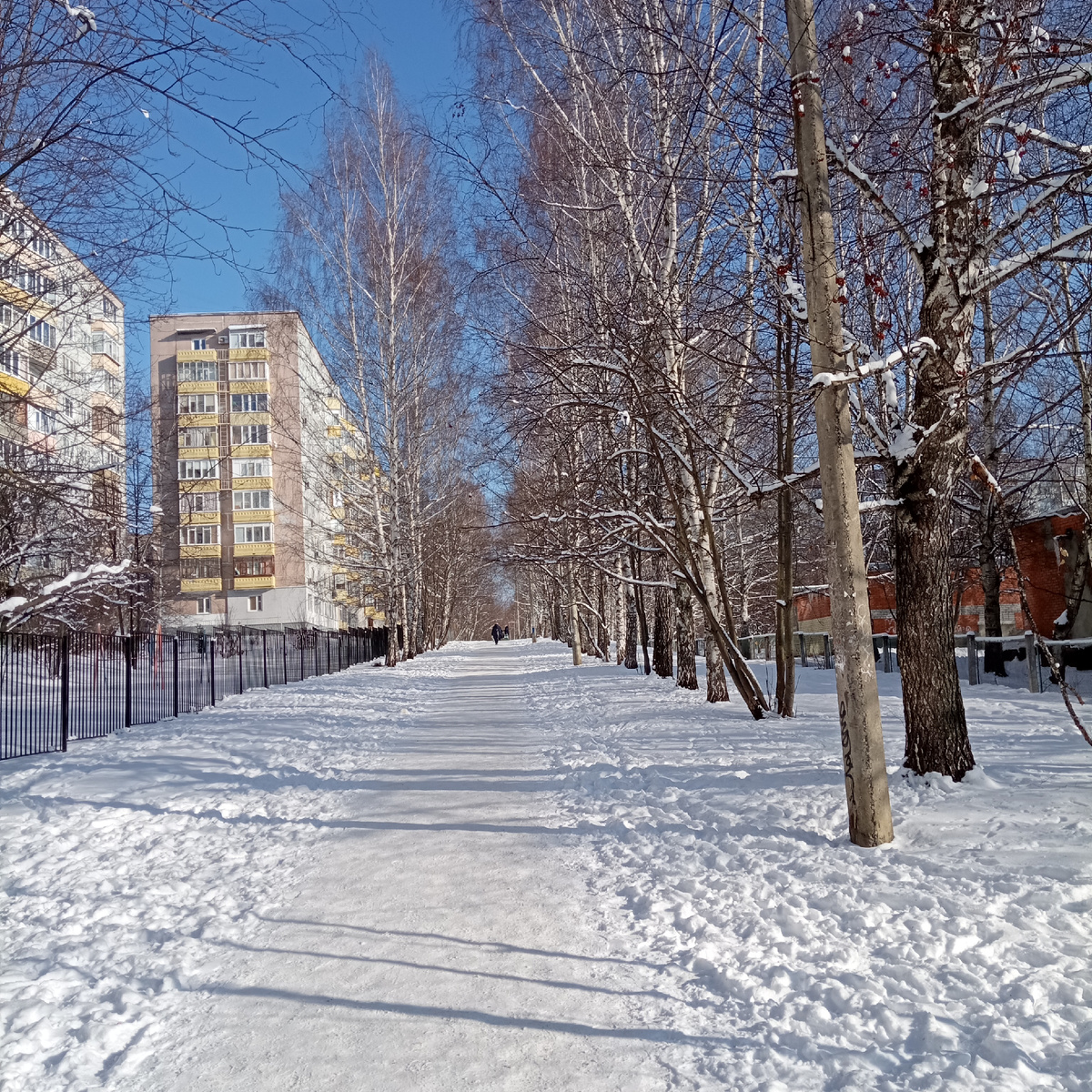Февраль в городе