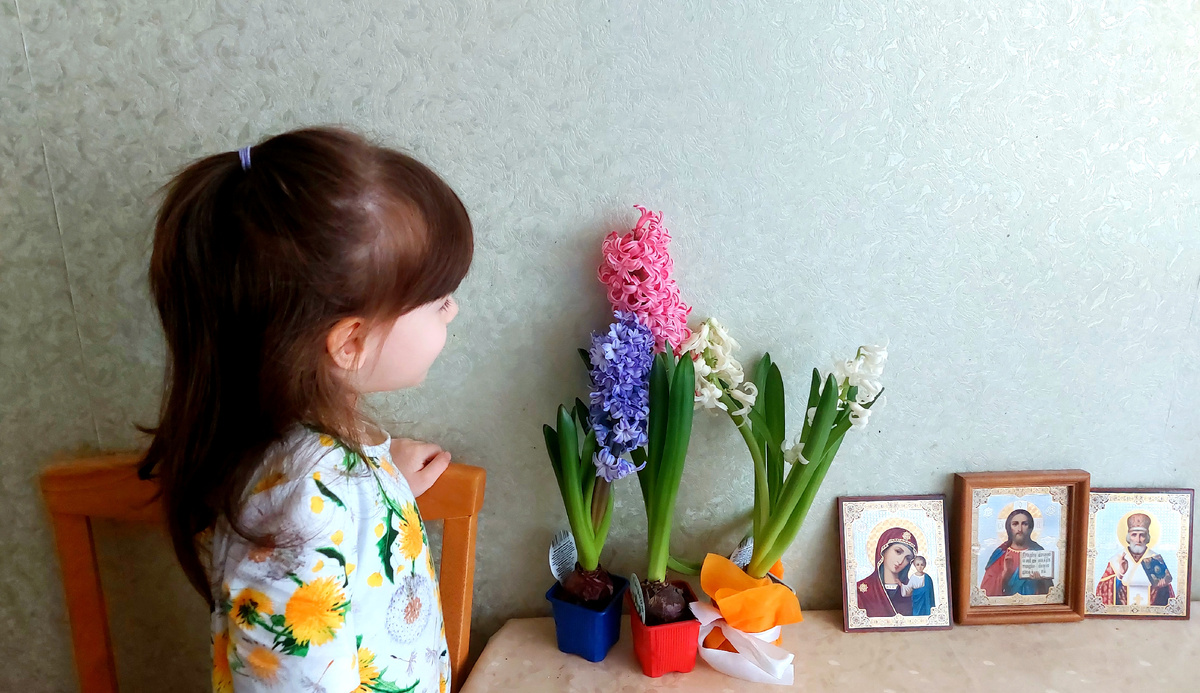 Варвара и гиацинты