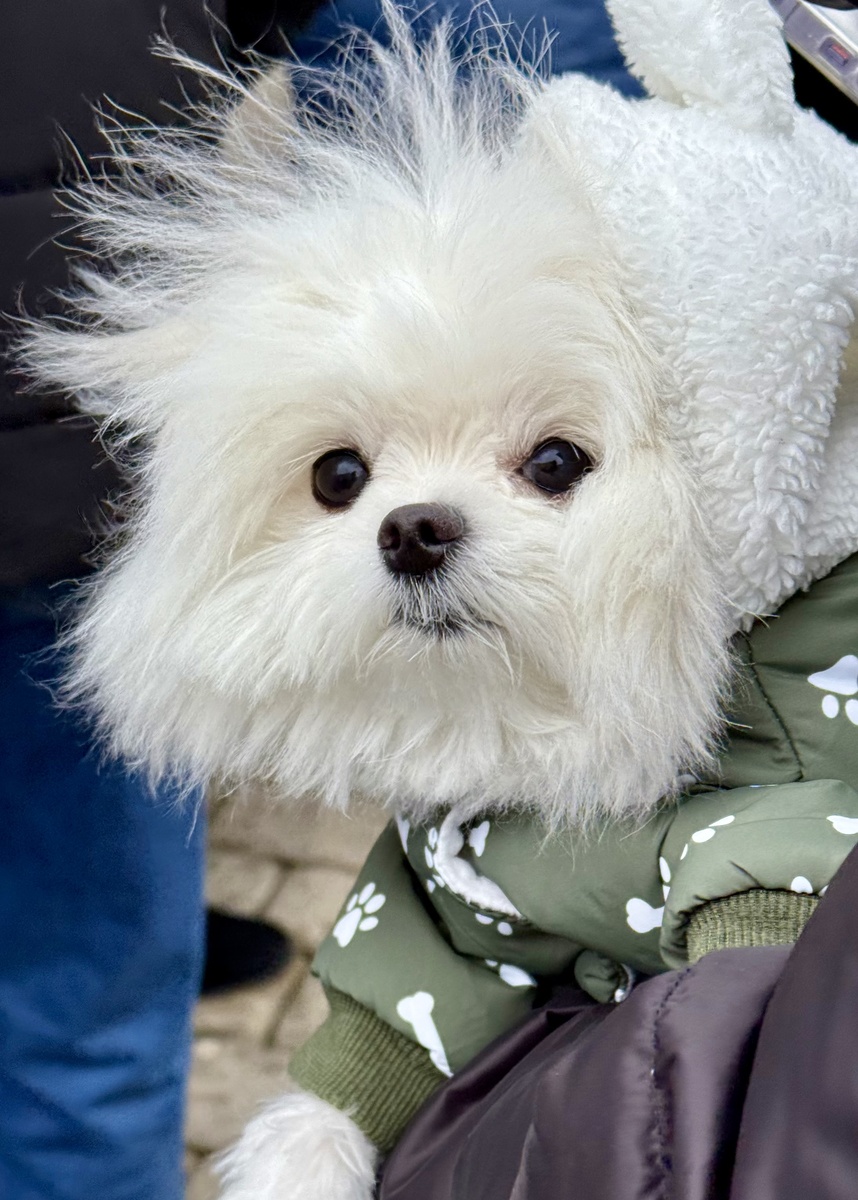 Элли на экскурсии по Зарайску