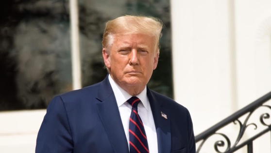    Трамп наказал выдавшего ордер на арест Путина прокурора Виктория Шварц