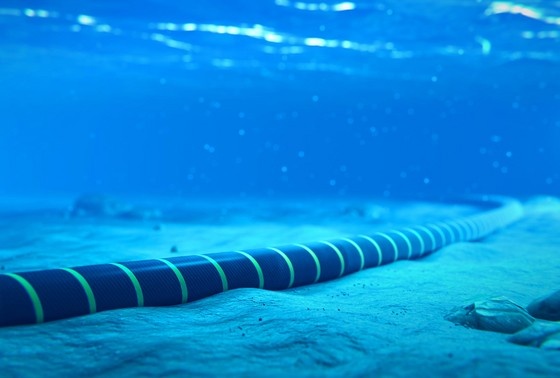    Shutterstock/FOTODOM