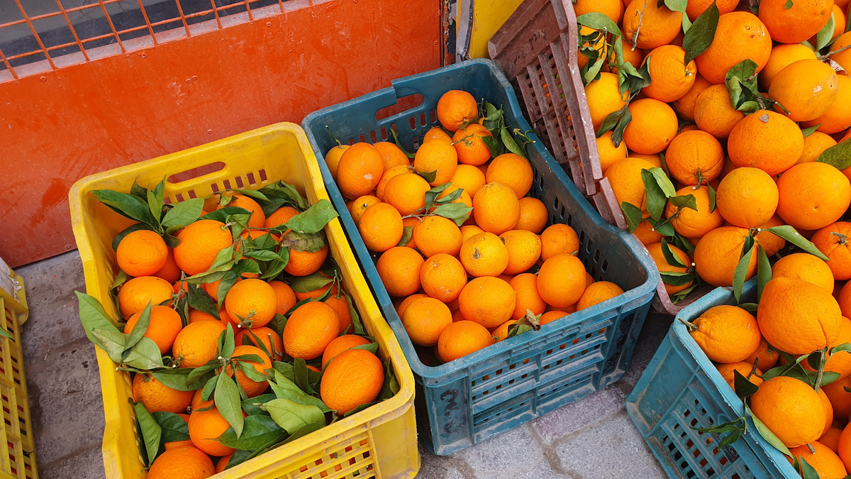 Ящики с апельсинами в Тунисе