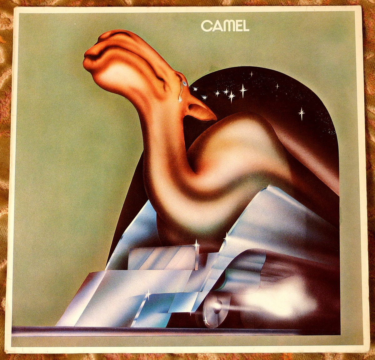 Оригинальное оформление с плачущим звёздами верблюдом.
