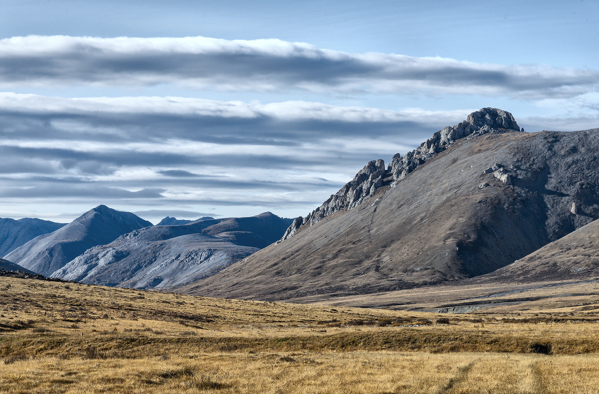 Болото на высоте 2330 м. 