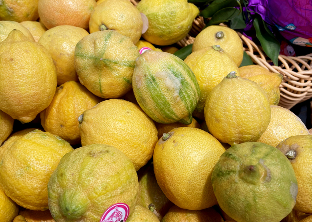 Розовый лимон (Citrus limon Eureka Variegated Pink) или лимон пестролистый