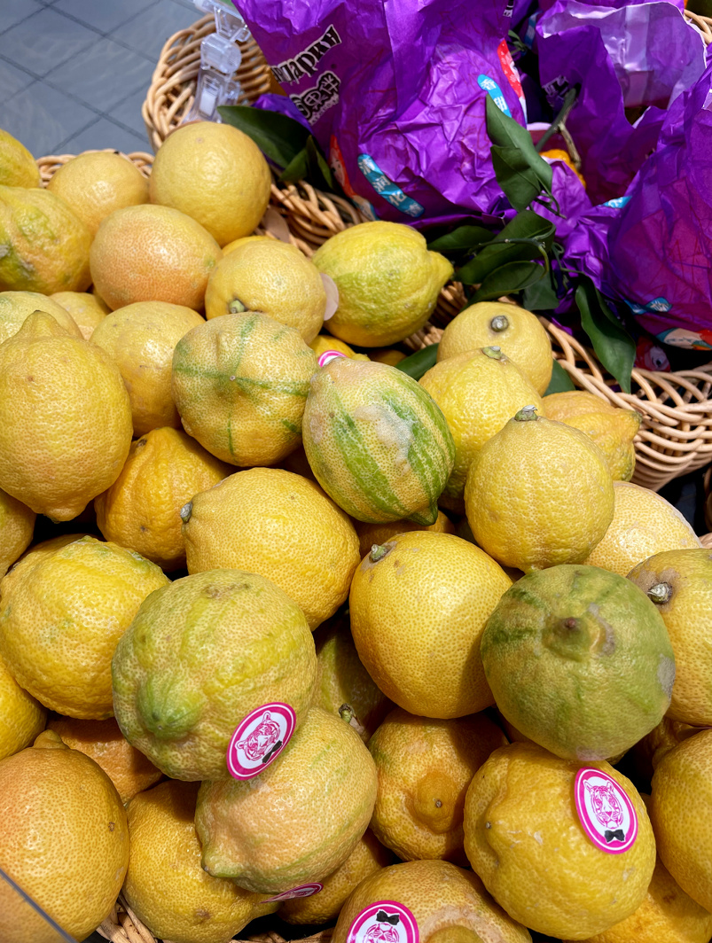 Розовый лимон (Citrus limon Eureka Variegated Pink) или лимон пестролистый