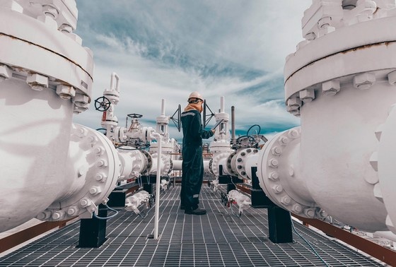    Shutterstock/FOTODOM