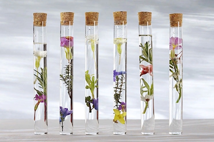 Цветы в глицирине.