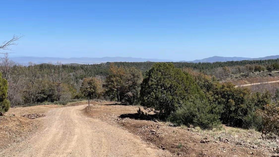 Forest Road 22, источник onxmaps.com