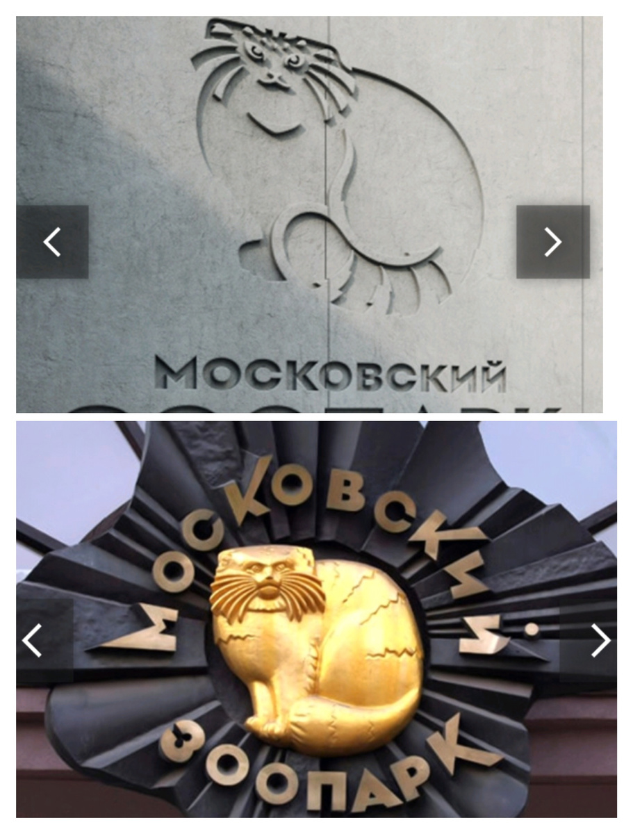 Изображение манула  на Стелле в Московском зоопарке