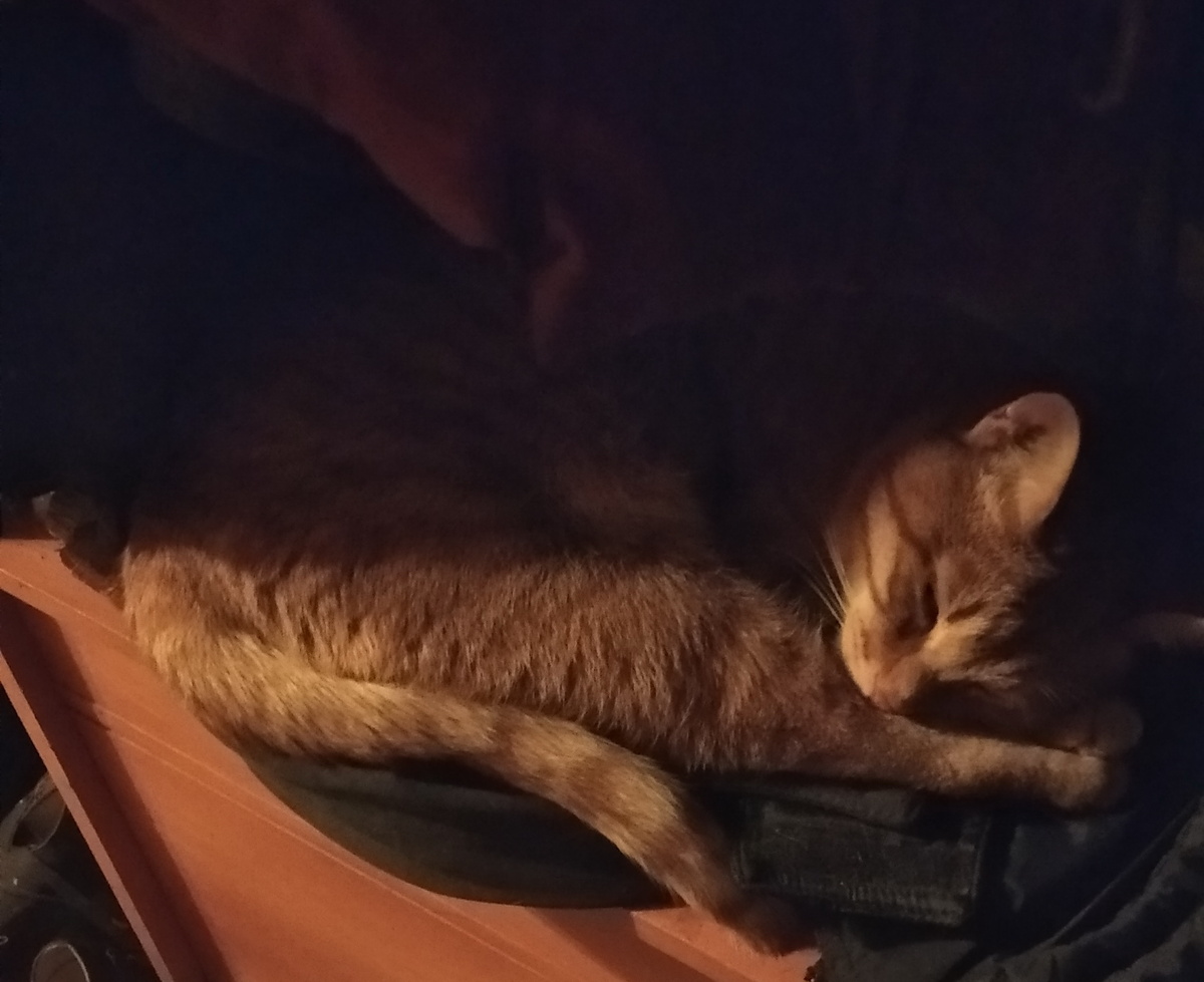 Личное фото.