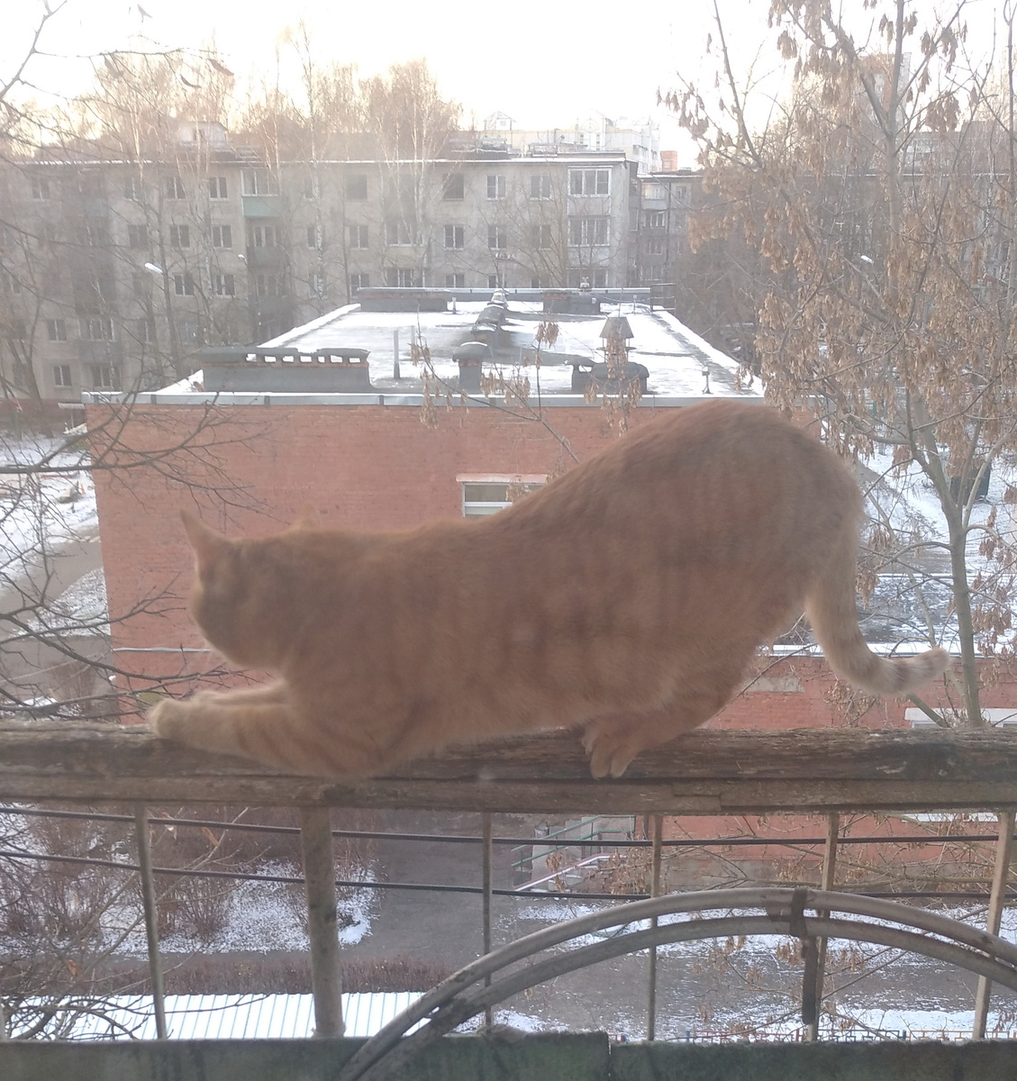 личное фото.