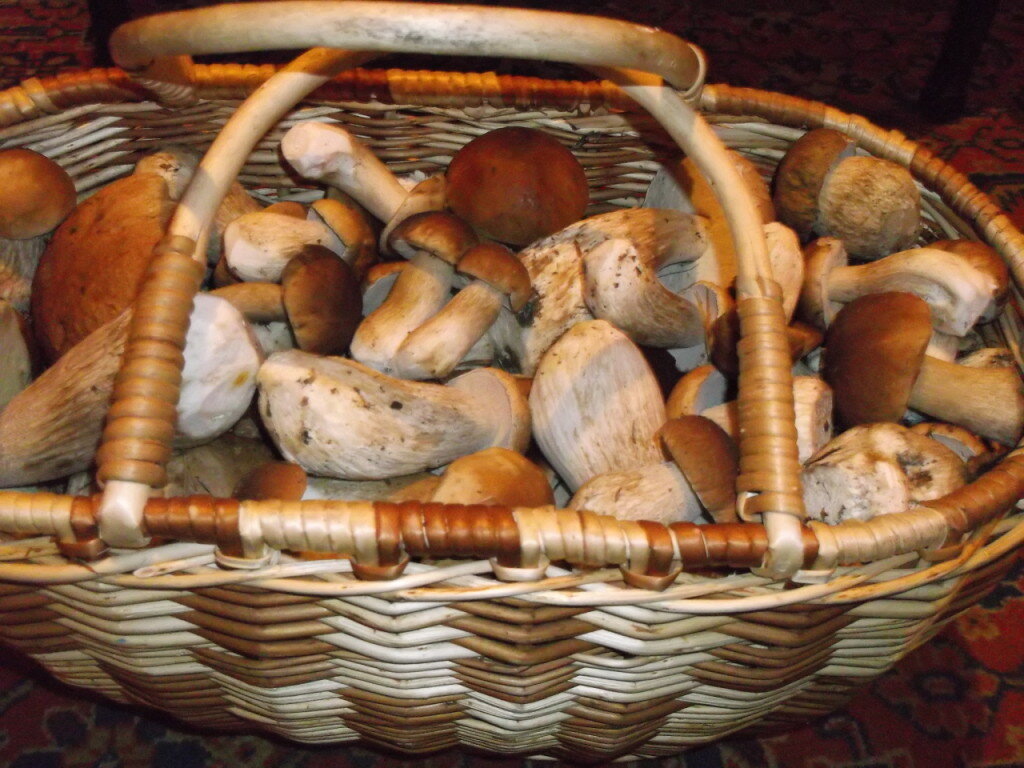 ЕЛОВЫЕ? ЗАМЕЧАТЕЛЬНО!