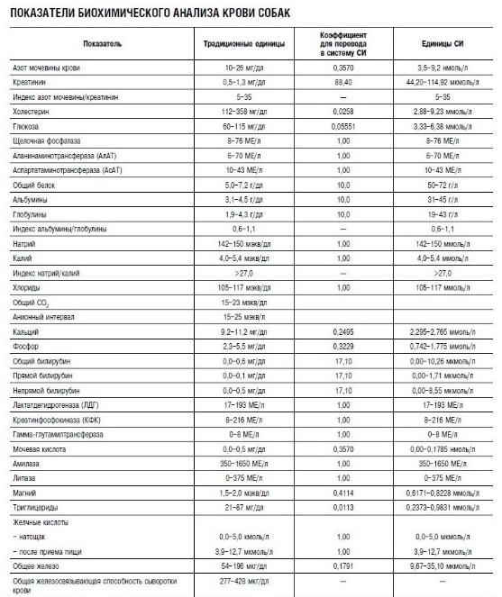 Биохимический анализ крови собак