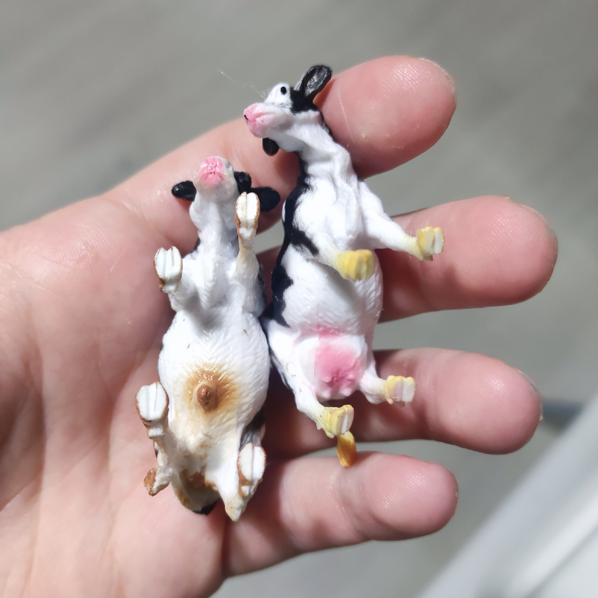 С этими зверями я планирую играть в "Мираторг"