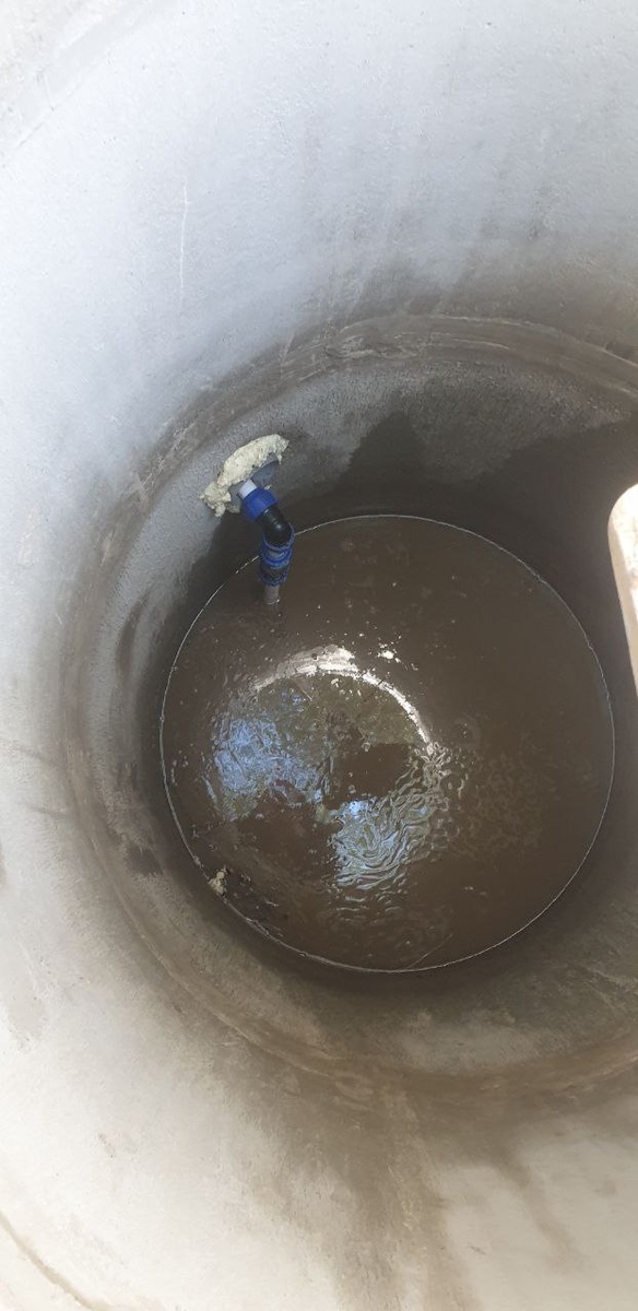 Бактерии в воде.