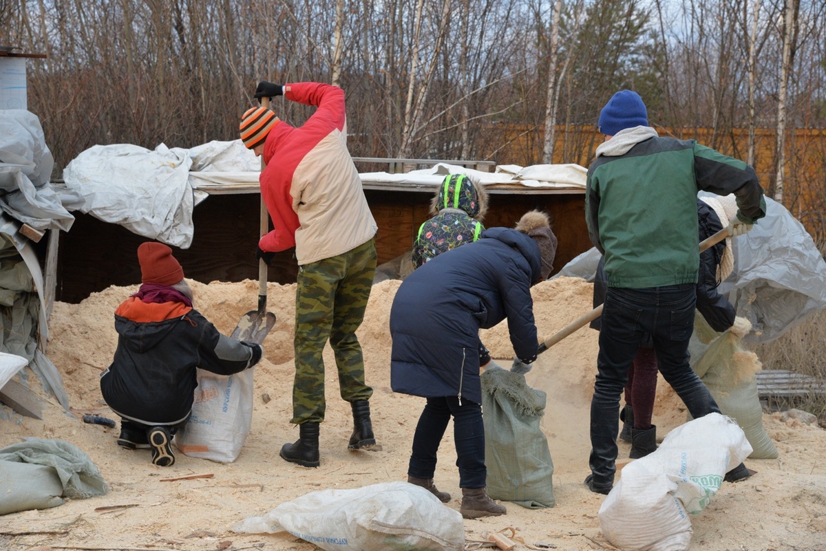 Источник: https://озж-верные-друзья.рф