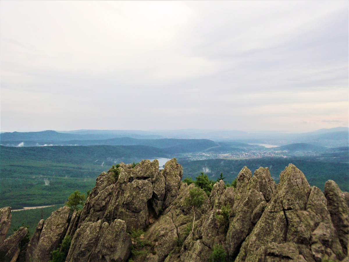 Перья. 2018 год.