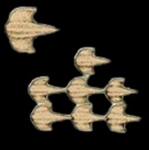 Плакоидная чешуя