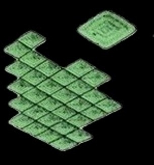 ганоидная чешуя 