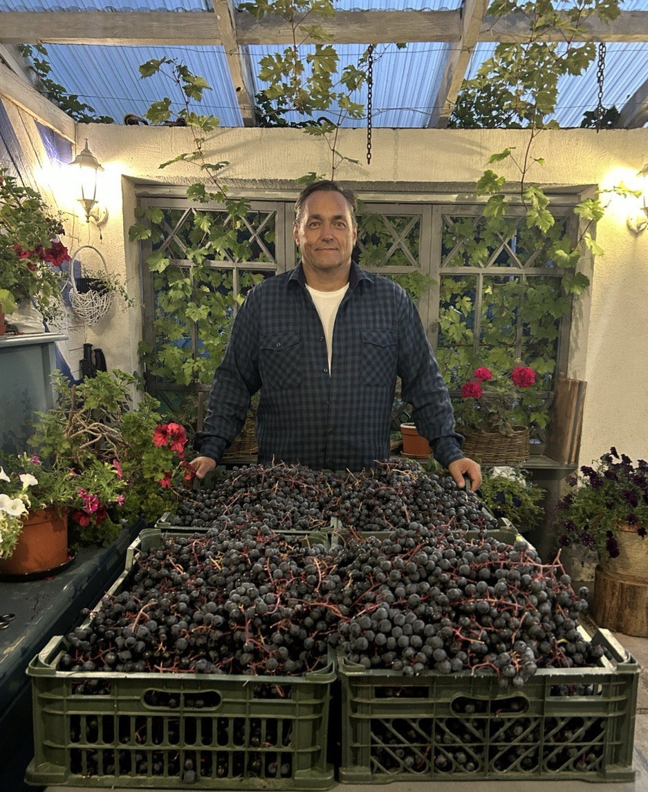 Сорт Таежный, 60 кг, 2024г.